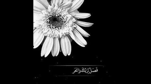 سورة الكوثر