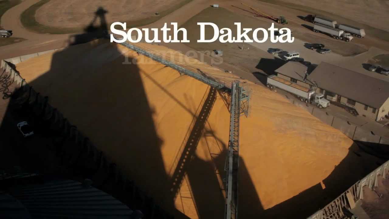 e1550 South Dakota Corn