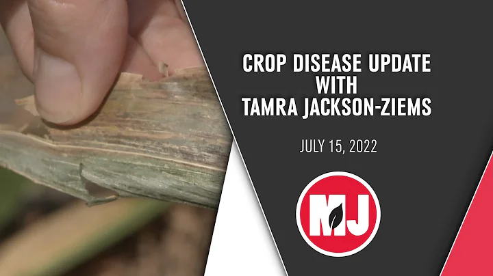 Crop Disease Update| Tamra Jackson-Ziems | July 15...