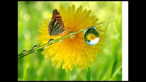 الشيخ عبدالودود حنيف سورة ( الممتحنة)