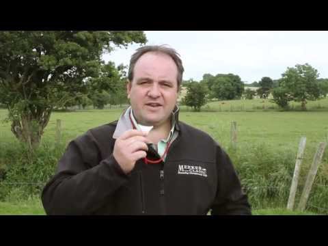 How to blow a sheepdog whistle and whistle commands - thebordercollie.co.uk