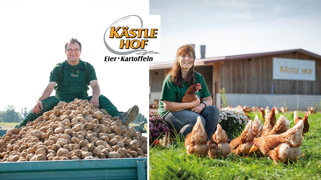 Produktbild von Banner „Frische Eier Aus Der Region“ – 200x50 Cm, Für Hofverkauf & Markt, NEU
