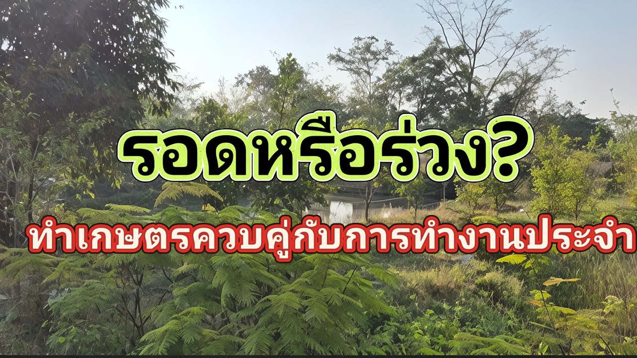 ทำเกษตรควบคู่กับการทำงานประจำปูฝันปูทางกลับบ้าน 