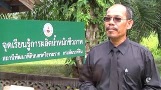 รายการคนไทยหัวใจเกษตร  28 ธันวาคม 2559 B3 กรมพัฒ