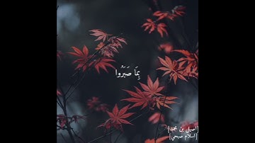 وَجَزَاهُم بِمَا صَبَرُوا جَنَّةً وَحَرِيرًا (12) القارئ اسلام صبحي - Islam Sobhi 💙🎧