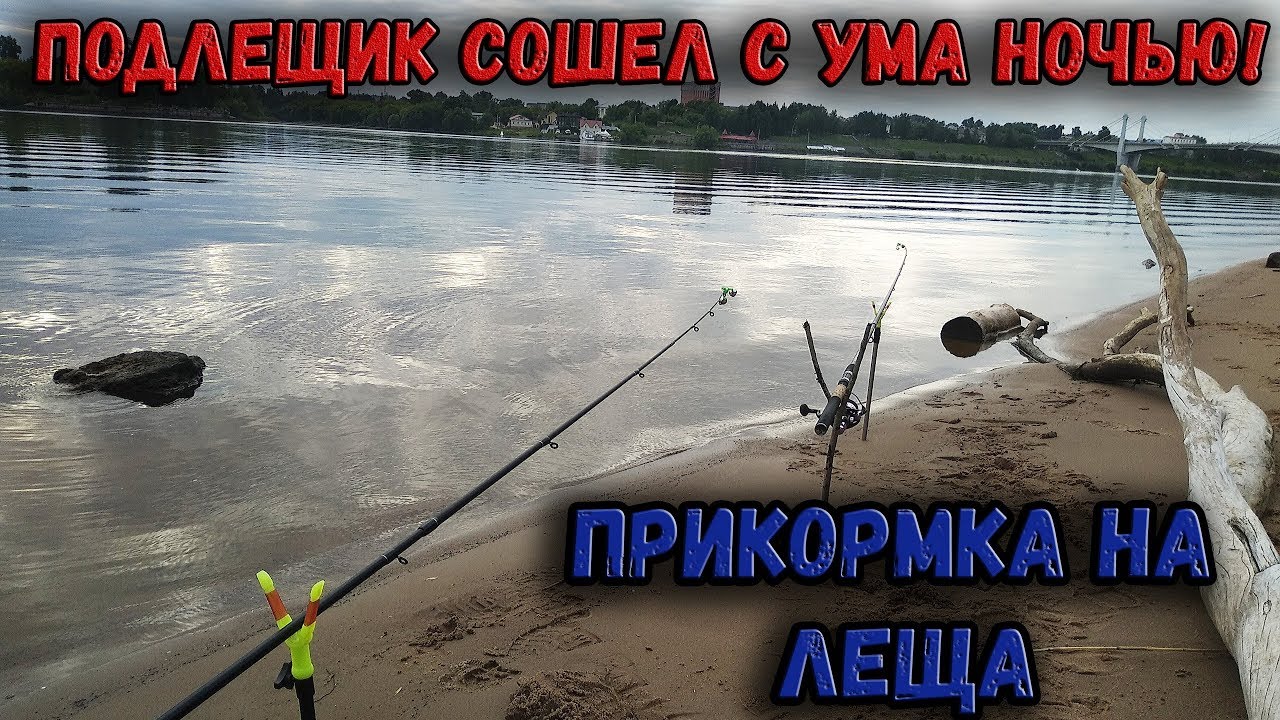 Ловля леща на волге прикормка Ловля леща на волге прикормка