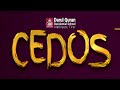 Cedos union inauguration  live  darul quran  alathiyoor  tirur