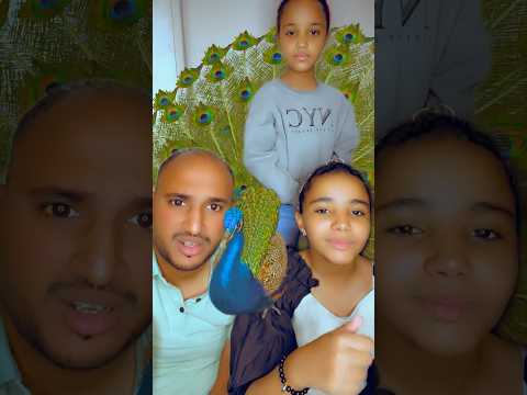 ايش اسم الطائر في الاخر ضحك   شفا