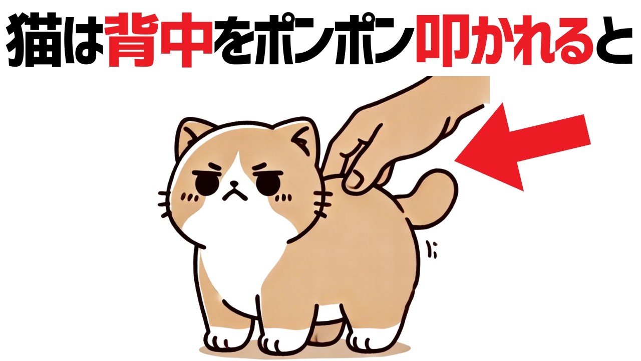 【猫の雑学】8割が知らない！誰かに話したくなる猫の面白い雑学84選