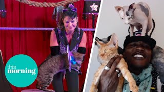 Meet The People Smashing Cat Stereotypes on Netflix | This Morning