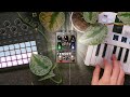 making lofi instruments and ambient soundscapes with TENSOR