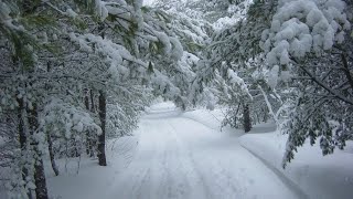 Snow Free Stock Videos - SnowFall Videos - Snow Free Stock Footages - Snow No Copyright Videos