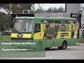 Маршрутки- паразиты украинских городов.