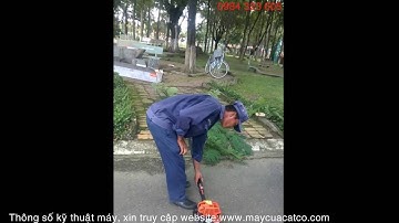 Máy cắt tỉa cành cây trên cao STIHL HT75 Chính hãng của Đức