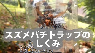 西洋ミツバチを襲うオオスズメバチの罠と捕獲　#養蜂12カ月 #オオスズメバチ