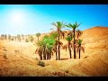 The Prosperity of African Kingdoms Through Trans-Saharan Trade Routes
