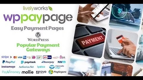 WP-PayPage - Easy and Ready to use Payment Pages using Popular Payment Gateways - WordPress Plugin