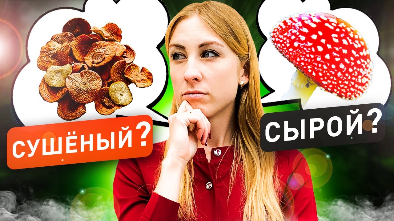 10 Способов Употребления МУХОМОРОВ с Древности до Наших Дней - YouTube