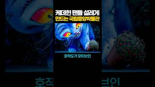 케이팝 데몬 헌터스 팬들 설레게 만드는 국립중앙박물관