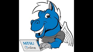 D2L Quizzes: Submission Views and Feedback