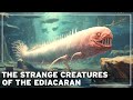 Before the dinosaurs the mysteries of the lost age of ediacaran creatures  documentary