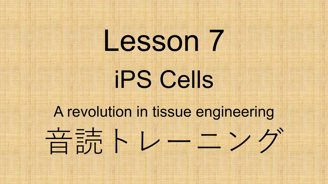 Lesson 7 音読トレーニング 訂正版 Element 英語 教科書 和訳 3 ベストアンサー In Taphoamini Com