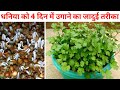 सिर्फ 4 दिन में धनिया उगाने का जादुई तरीका | How To Grow Coriander Fast At Home | Agro Field