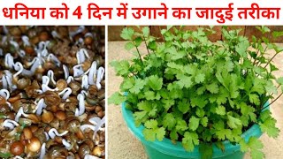 सिर्फ 4 दिन में धनिया उगाने का जादुई तरीका | How To Grow Coriander Fast At Home | Agro Field