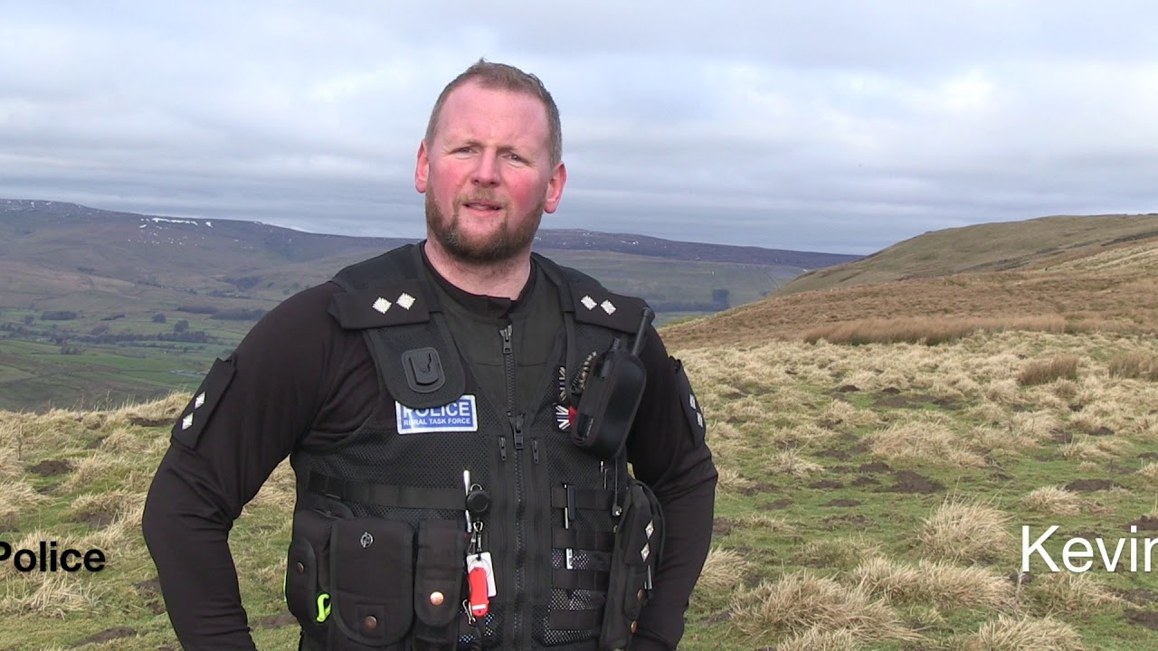 Raptor persecution: the problem and the signs