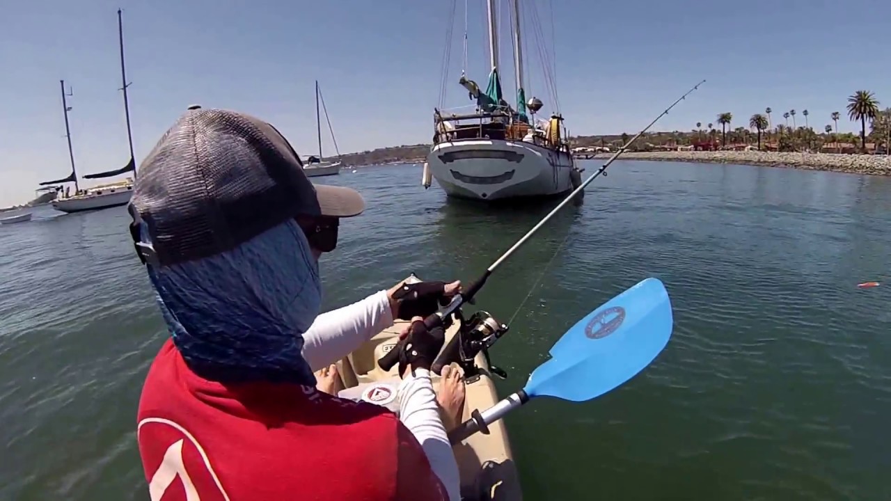 Kayak fishing San Diego Bay, Bay bass spotties April 30 2017.Hookup