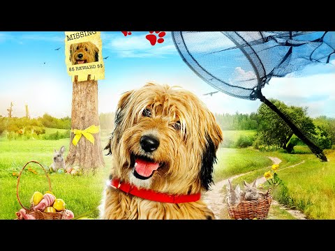 DOGNAPPED