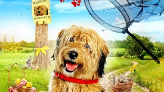 Dognapped | FAMILY | Full Movie in English