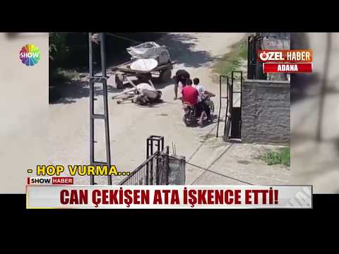 Can çekişen ata işkence etti!