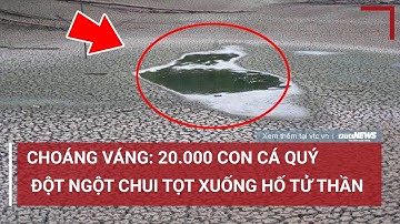 Choáng váng: 20.000 con cá quý đột ngột chui tọt xuống hố tử thần | VTC News