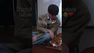 The Way He Gently Caressed Tangos Head