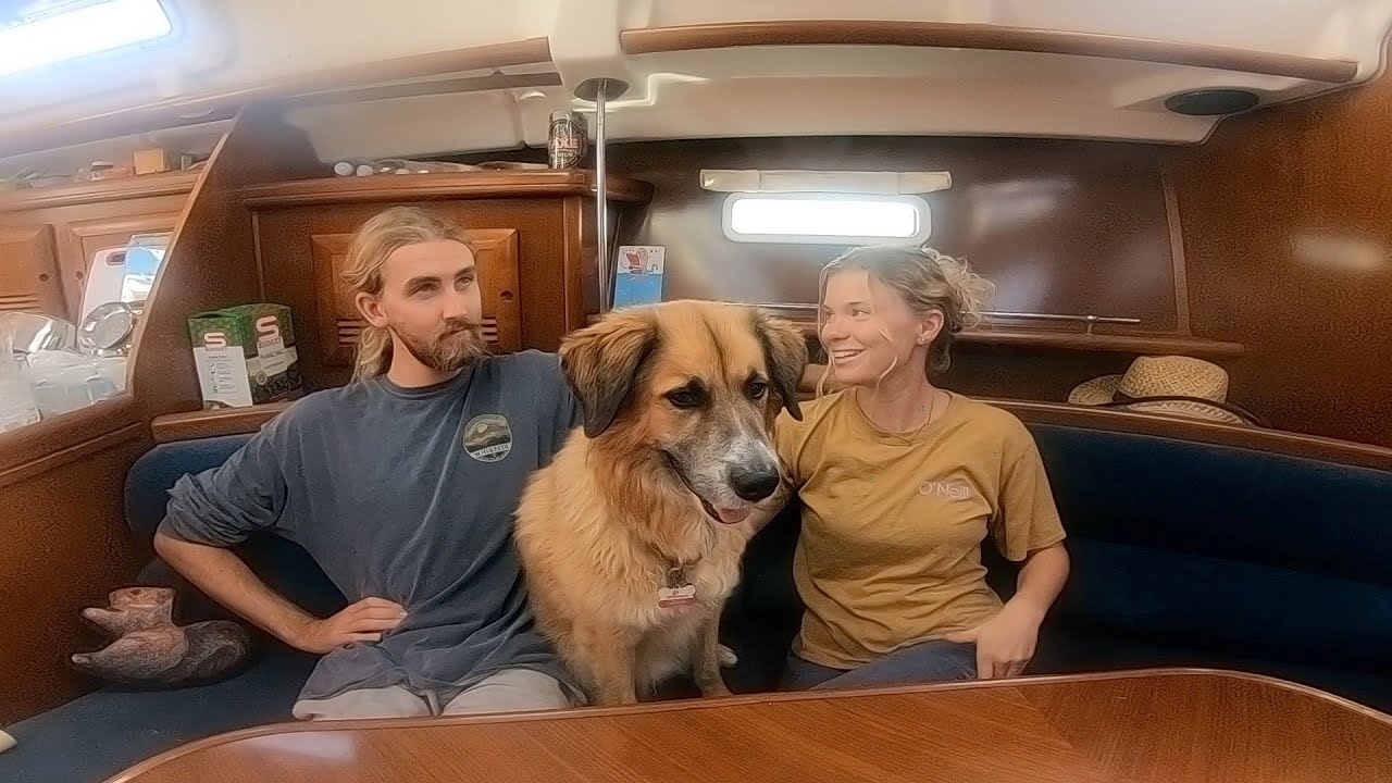 SAILING the Mediterranean Sea with a DOG - EUROPE - Paperwork and EU Pet Passports