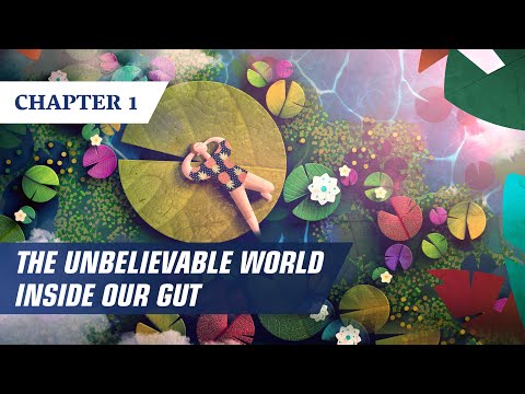 The unbelievable world inside our gut