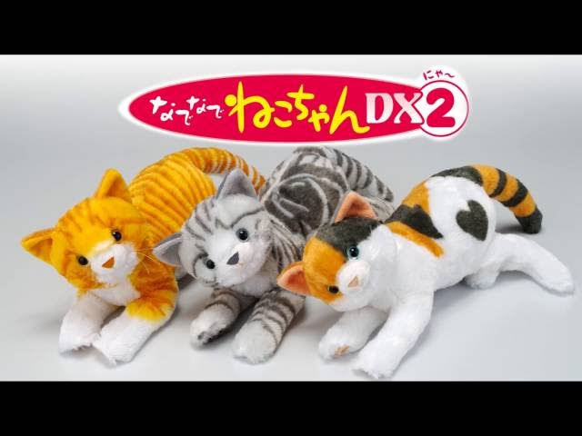 猫ちゃん sddefault.jpg