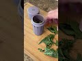 Multi Use Vacuum Jar Keeps Herbs and Snacks Fresh | Staze