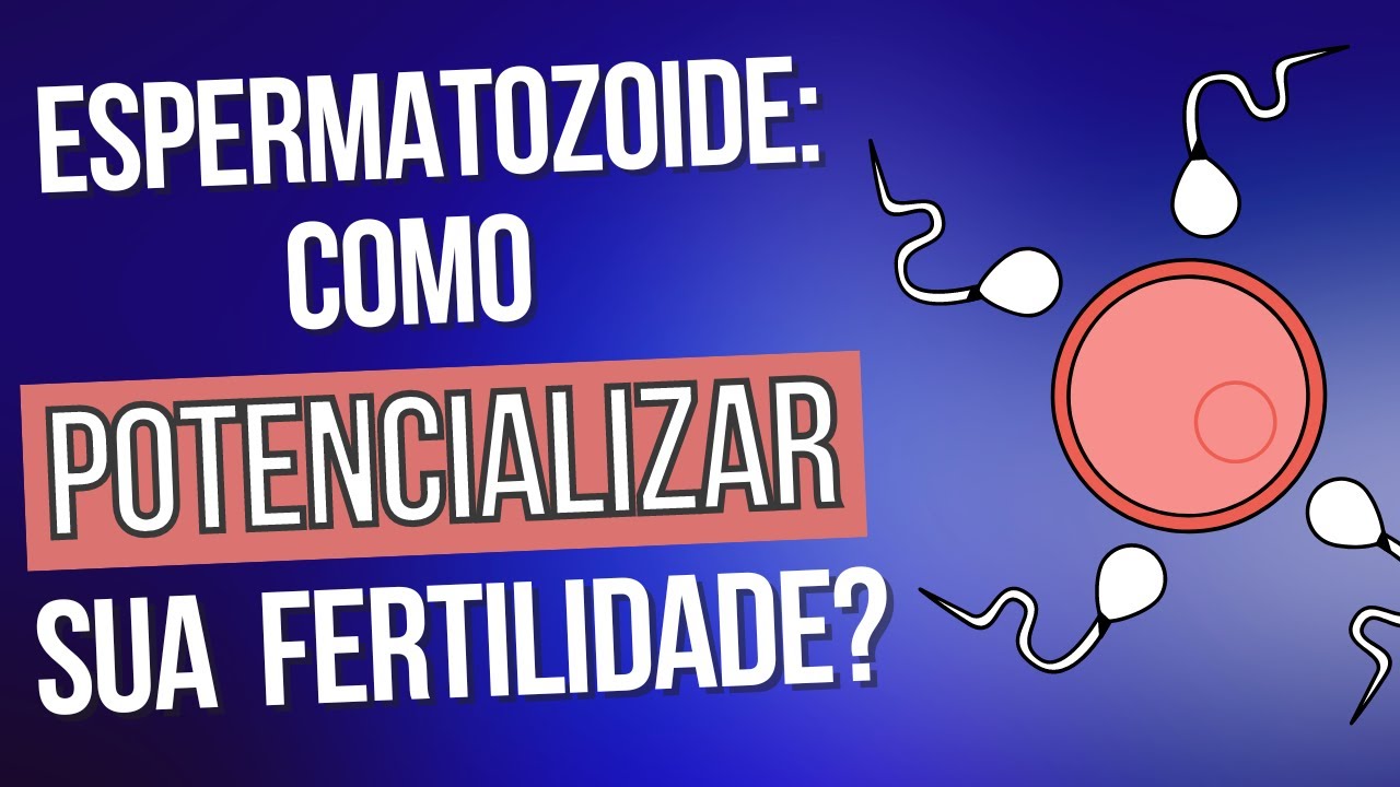 Aprenda como melhorar a qualidade e quantidade de espermatozoides de ...