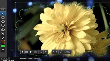 Masking Tutorial for FCPX: SliceX powered by mocha
