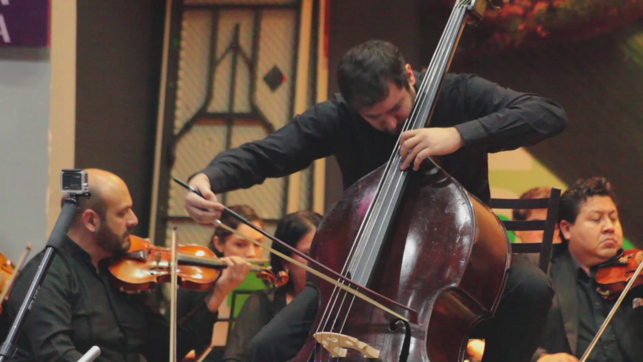 Max Bruch Kol Nidre, double bass and string orchestra YouTube