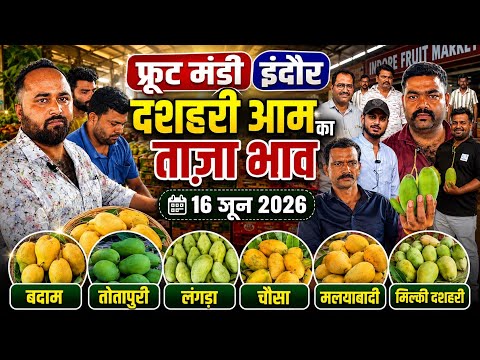 16 June 2026 दसेरी आम की ताज़ा खबर 🥭 indore fruit market indore - #aam #ytshorts #food