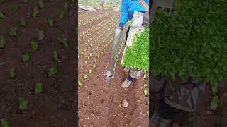 Revolutionizing Farming: The High-Efficiency Handheld Seedling Transplanter Revolutionizing Farming: The High-Efficiency Handheld Seedling Transplanter