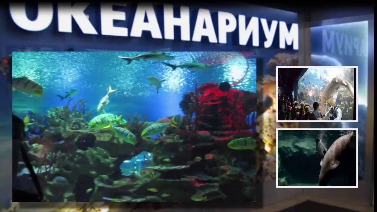 Тц Планета Нептун Санкт Петербург Магазины
