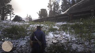 Red Dead Redemption 2 -I Literally Cant Resist