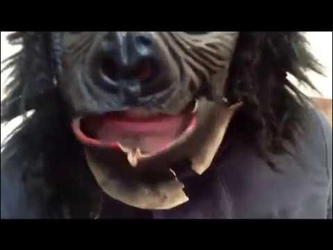 Сань, хуй соси v3 - YouTube