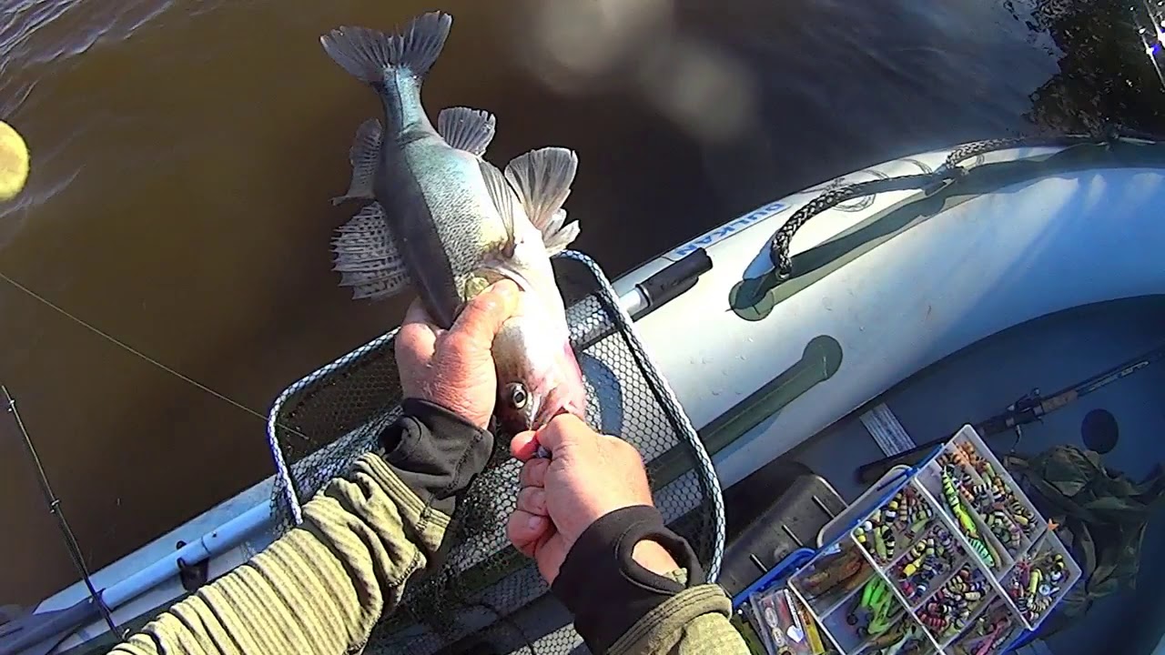 Koha püük Emajõel 21  juuni 2020