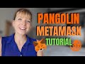 How To Use Pangolin Exchange With Metamask To Buy Teddy Cash | Avalanche Crypto | Wealth in Progress