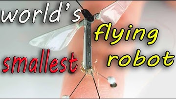 RoboBee | The world’s smallest flying robot
